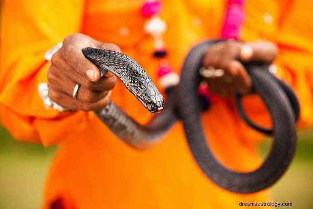 Il sogno di un morso di serpente significa indù | Uccidere il serpente nero significa?