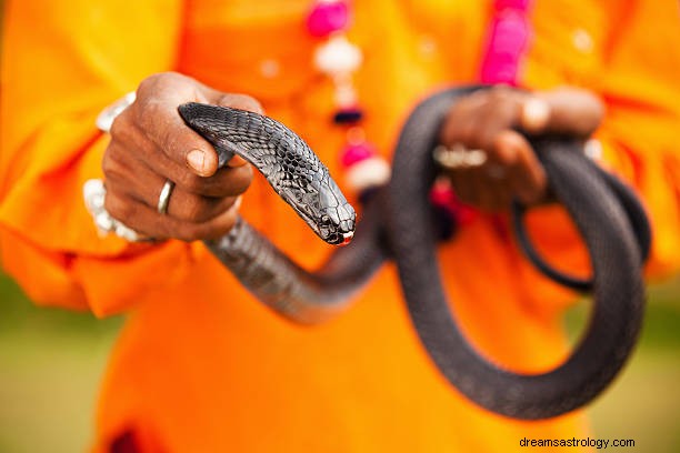 Schlangenbiss Traum Bedeutung Hindu | Schwarze Schlangenmittel töten?