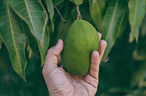 Voir la mangue en rêve Signification | Manger ou cueillir des mangues 2022