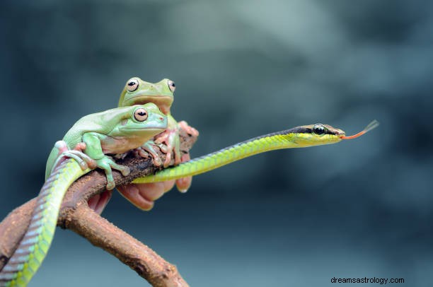 Bedeutung und Interpretation von Froschträumen:Verschiedene Froschträume