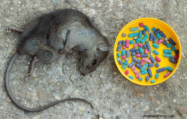 Arti Mimpi Tikus Dalam Mimpi:Tikus Dalam Mimpi Hindu