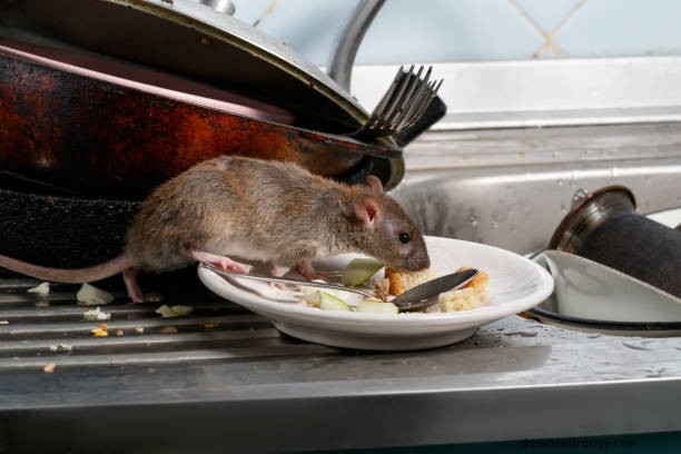 Mouse In Dream Betydelse:Rat In Dream Hindu