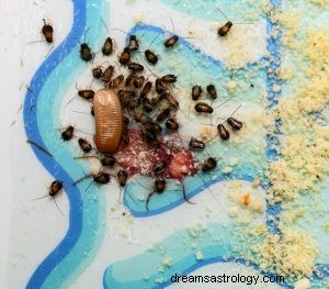 Sen švábů Význam:Sen o zabíjení švábů
