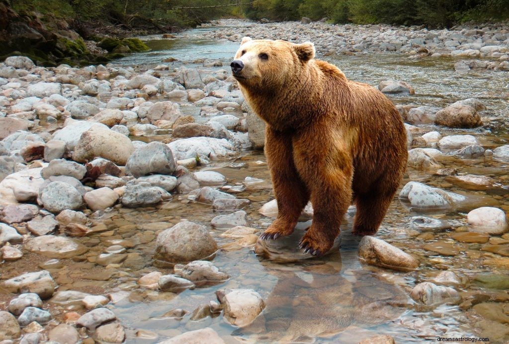 Soñar con osos:significado y simbolismo bíblicos