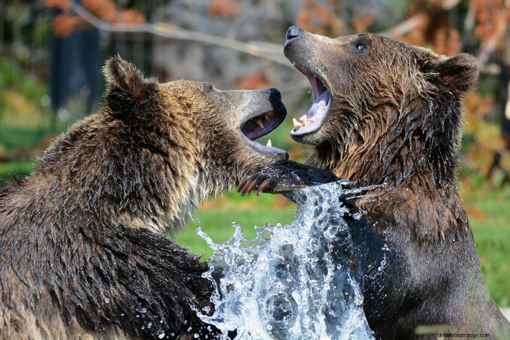 Dröm om björnar:biblisk betydelse och symbolik