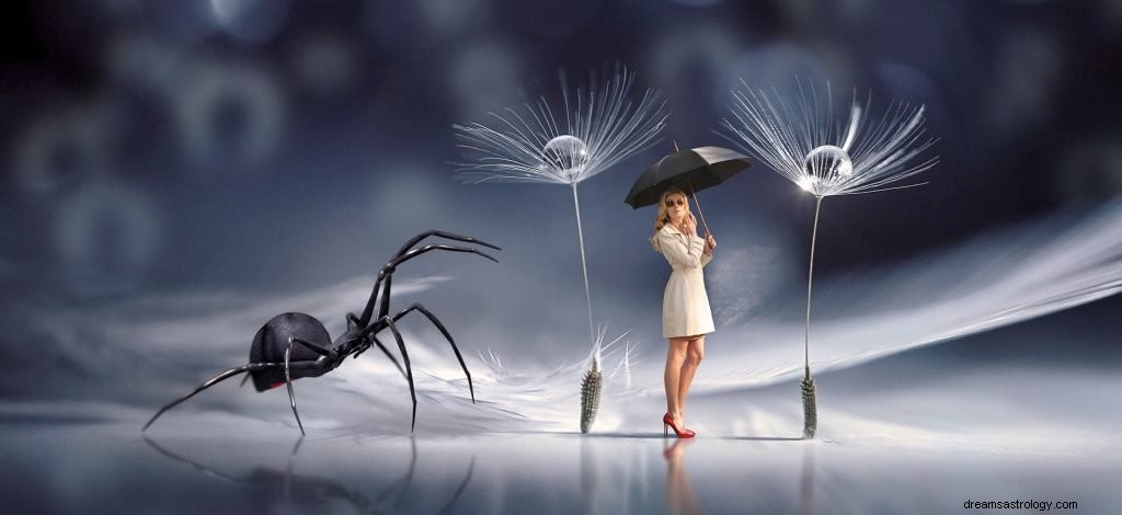 Sonhando com aranhas:interpretação e significado