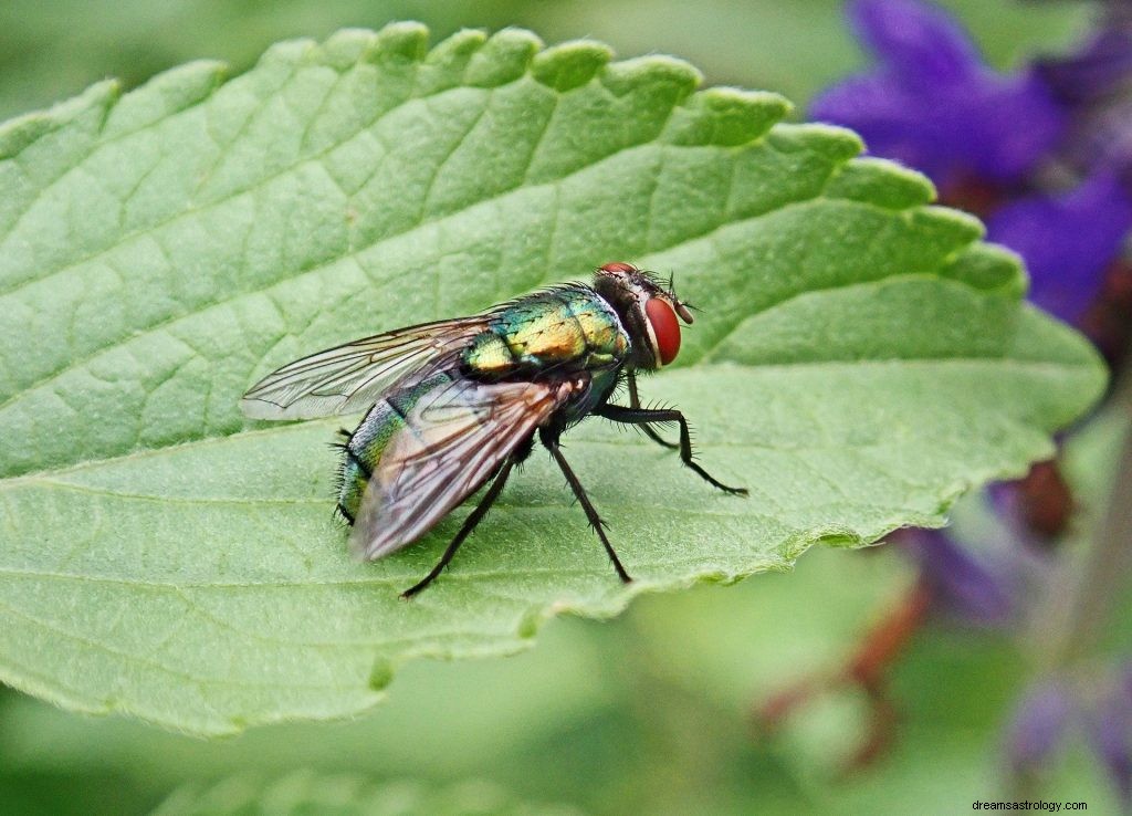 昆虫や虫の夢を見る:解釈と象徴主義