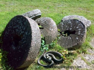 Signification des rêves de serpent