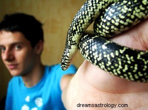 Bedeutungen von Schlangenträumen