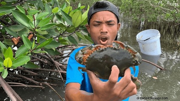 Mimpi Tentang Kepiting:Apa Arti dan Simbolisme