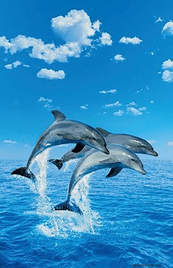 Drömmar om delfiner:betydelser och symbolik