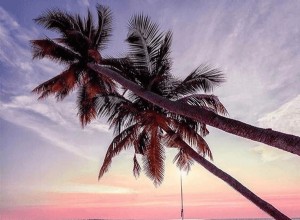 Rêves de plages :signification et symbolisme