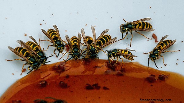 Träume von Wespen:Bedeutung und Symbolik