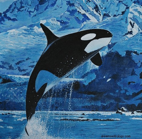 Sonhos com baleias assassinas:o que significa e simbolismo