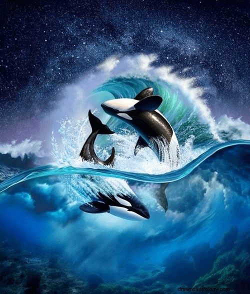 Sueños con orcas:significado y simbolismo