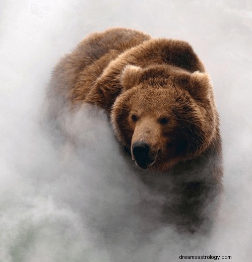 Sueños con osos:significado y simbolismo