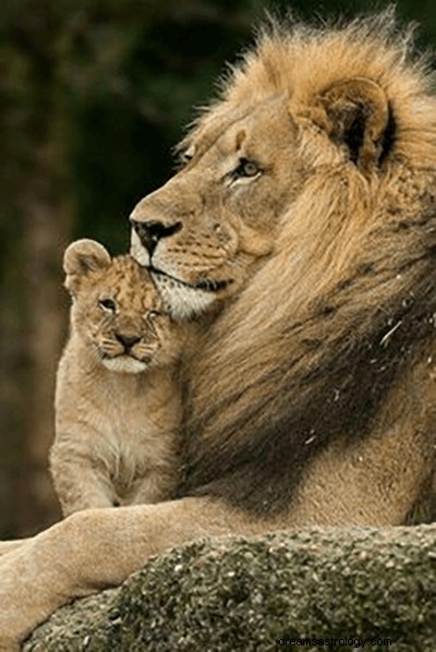 Drömmar om Lions:Vad betyder och symbolik