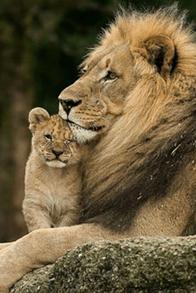 Sueños con leones:significado y simbolismo