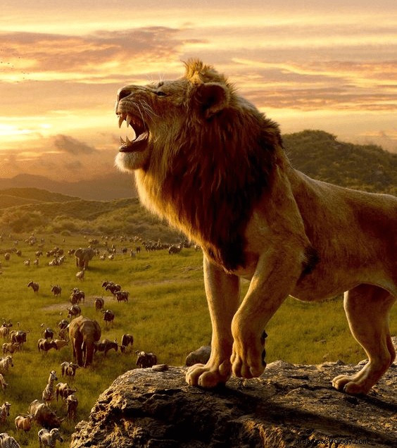 ライオンの夢:意味と象徴