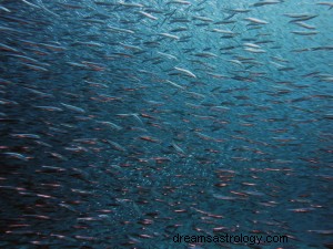 魚の夢:意味と象徴