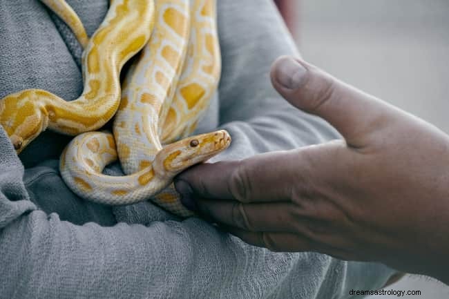 8 spirituele betekenissen van slangen in dromen:is het geluk?