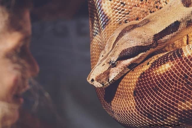 8 duchovních významů hadů ve snech:je to hodně štěstí?