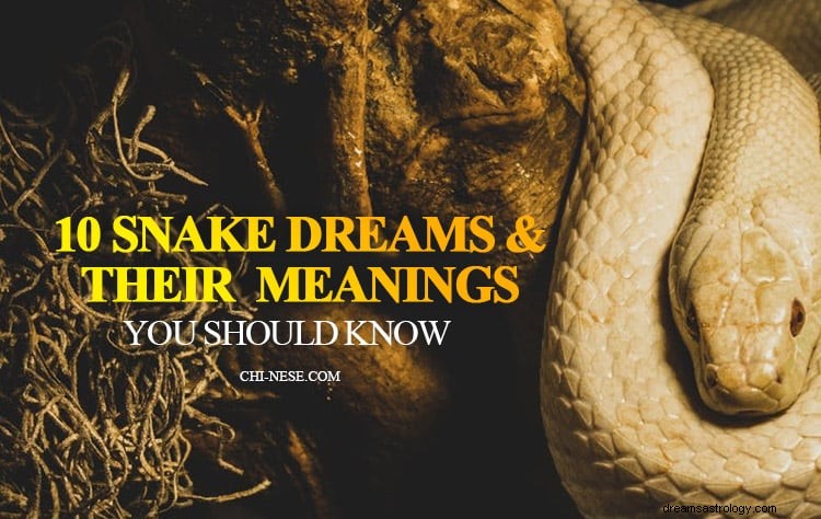 Drøm om slanger som betyr