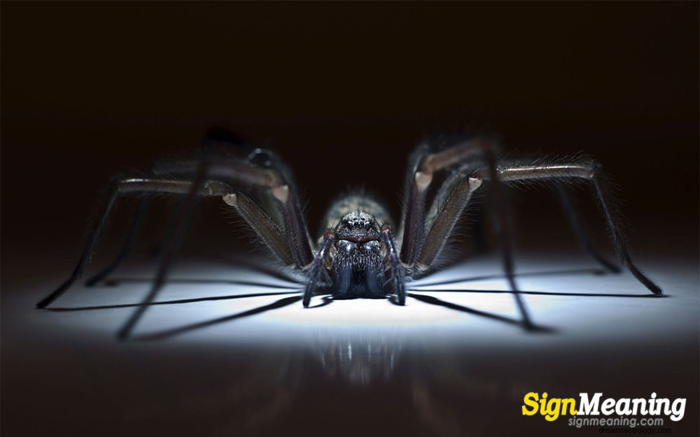 Sueños sobre arañas explicados en profundidad