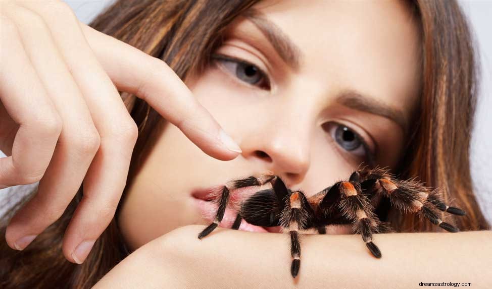 Drømme om edderkopper forklaret i dybden