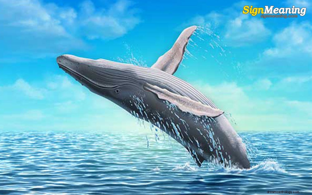 Hvad betyder drømme om hvaler?