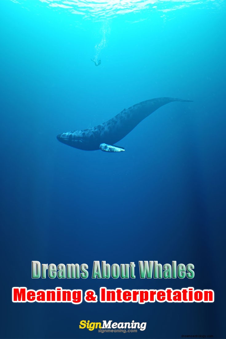 Wat betekenen dromen over walvissen?