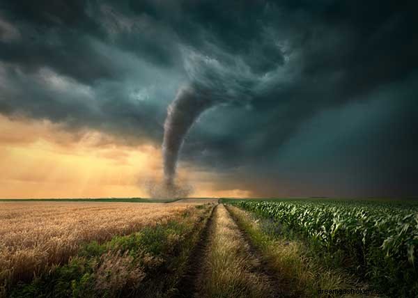 Hvad betyder det at drømme om en tornado?