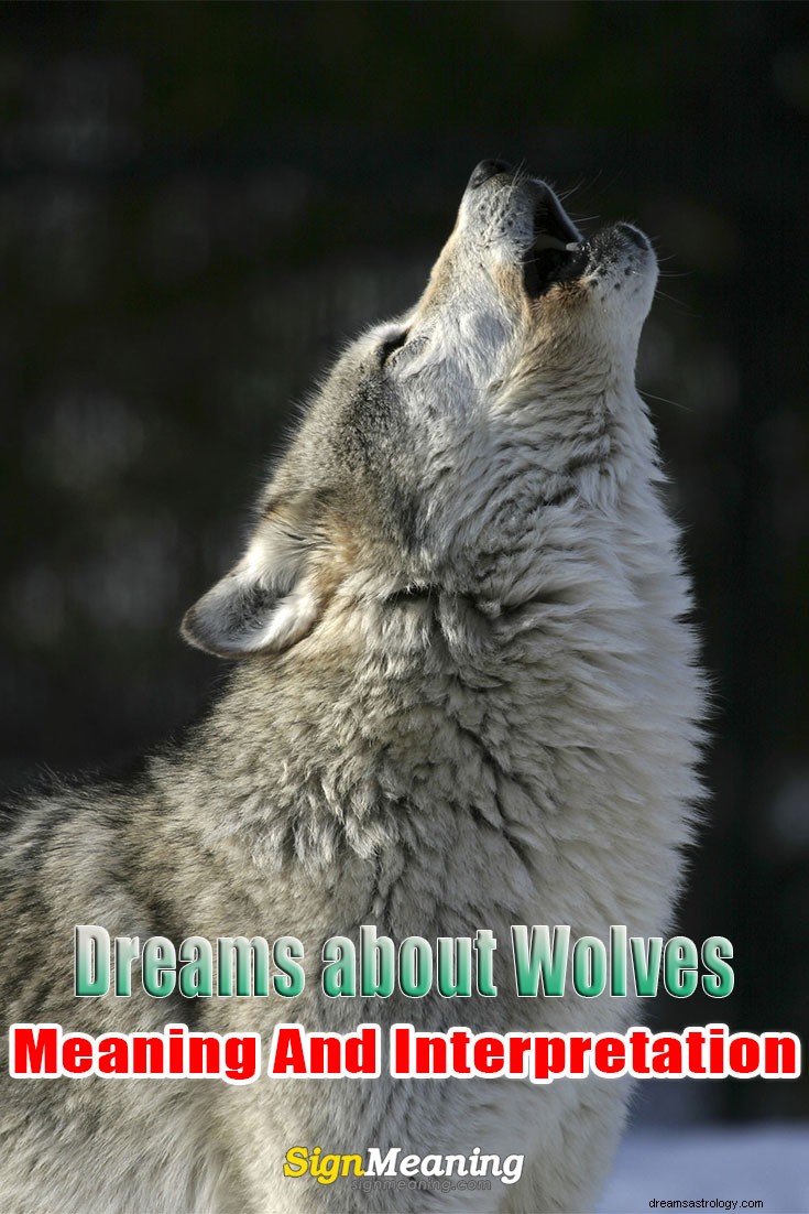 Sueños con lobos:significado e interpretación