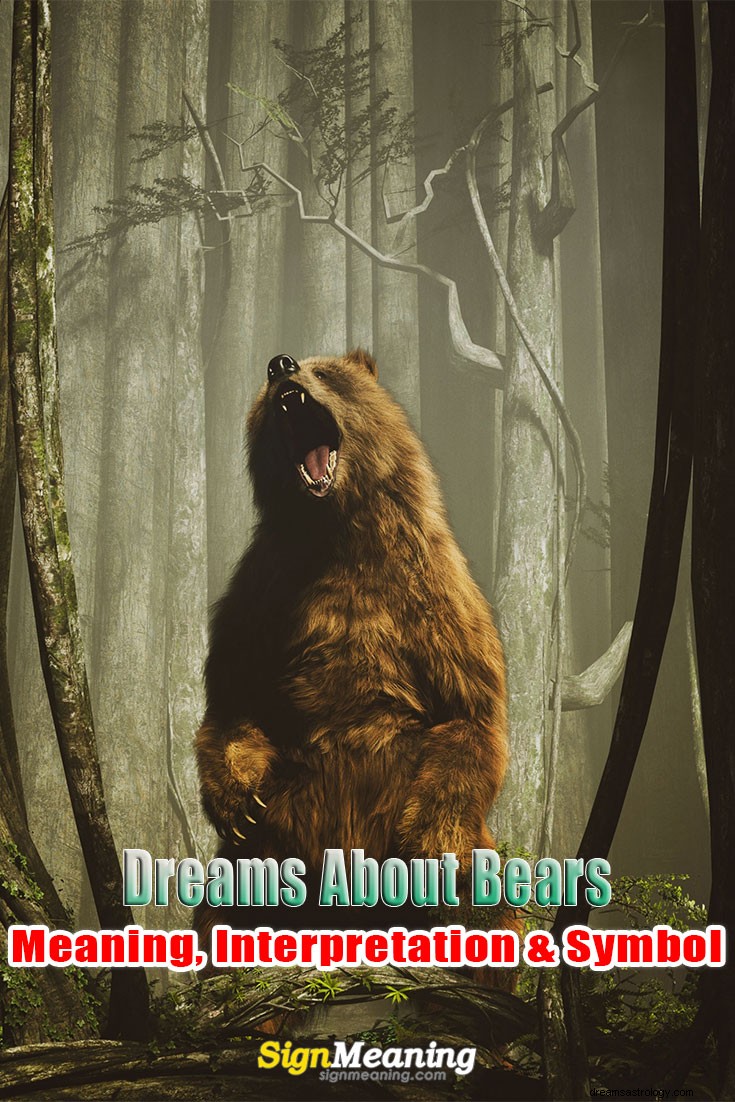 Drömmer om björnar – mening, tolkning och symbol
