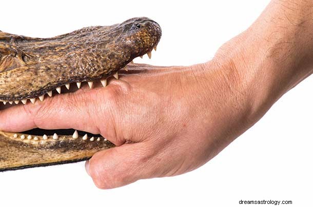 Drømme om alligatorer – betydning og fortolkning