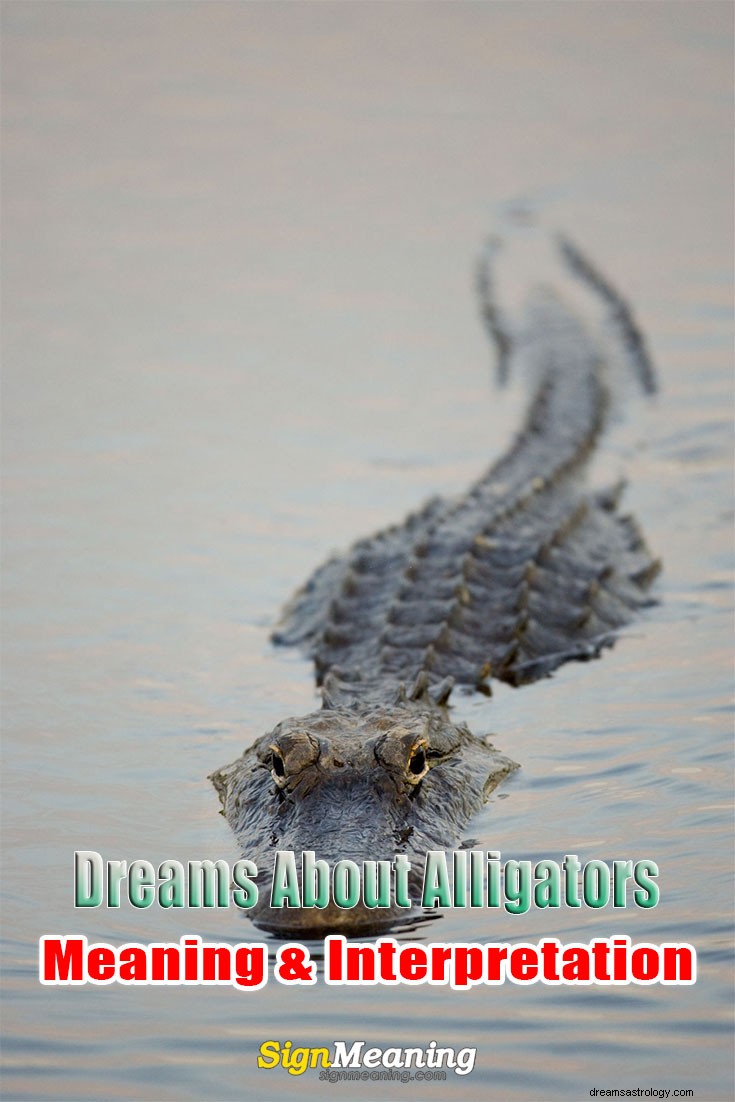 Drömmer om alligatorer – mening och tolkning