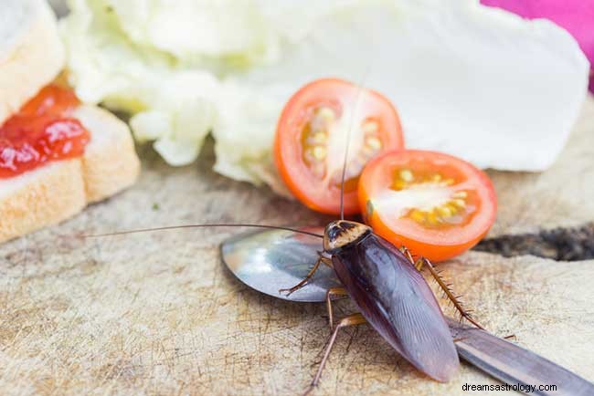 Τι σημαίνει όταν ονειρεύεστε κατσαρίδες; 