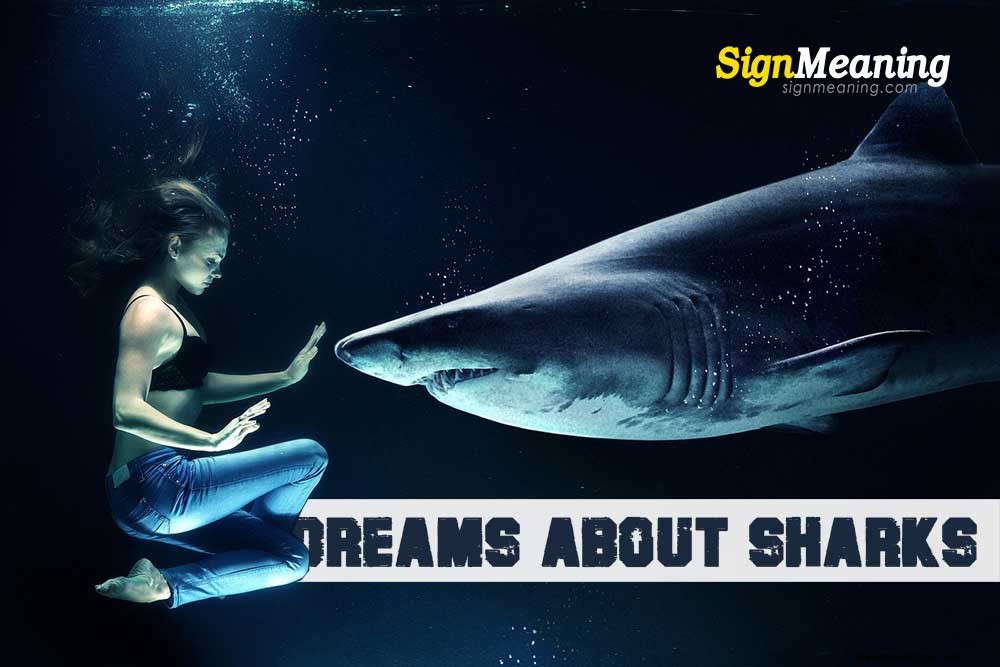 O que significa sonhar com tubarões