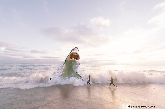 Wat betekent het als je droomt over haaien