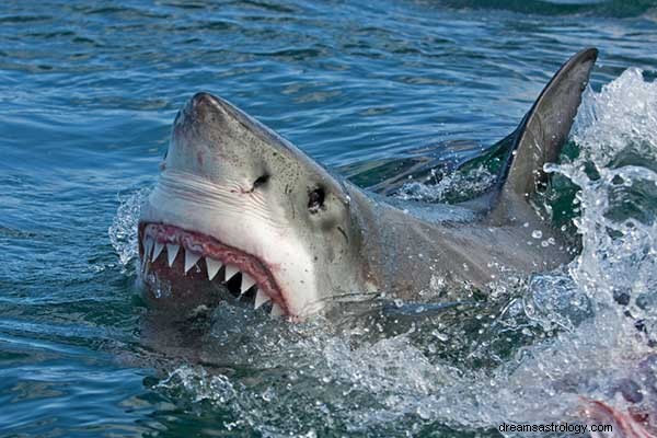 ¿Qué significa soñar con tiburones?