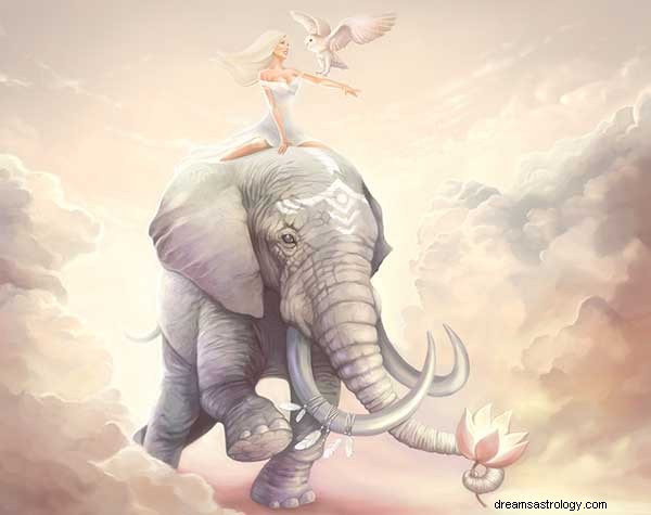 Vad symboliserar elefanten? Elefant i drömmening