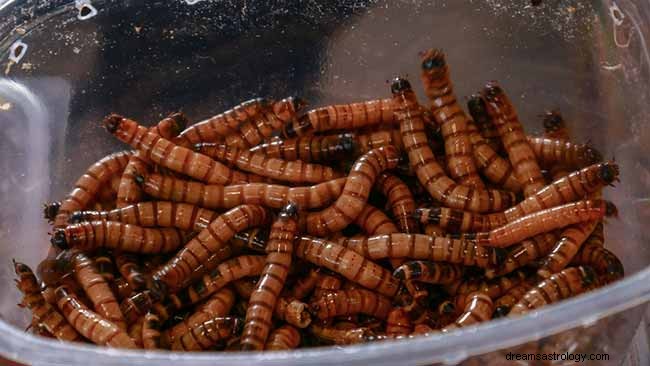 Interpretationen und Analysen der Träume von Würmern