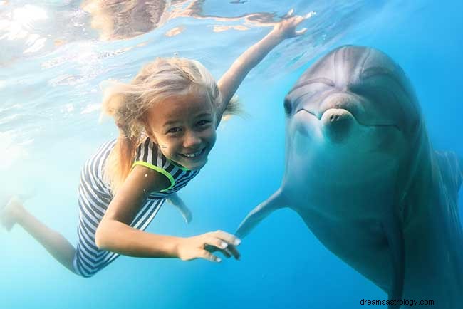 Sny o delfínech – jaký je symbolický výklad?