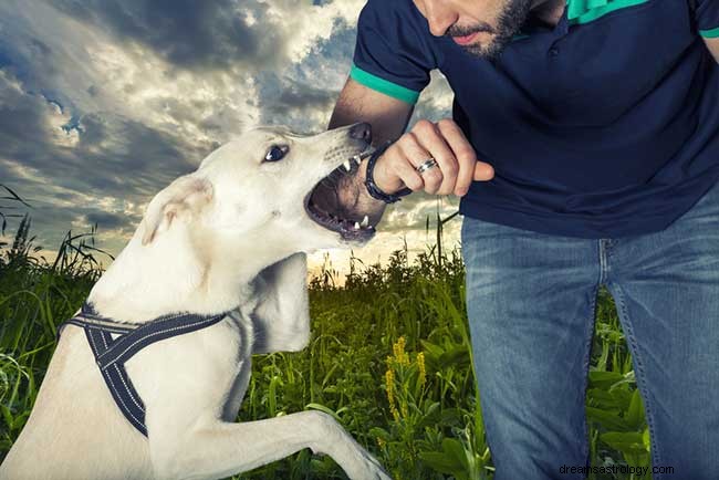 Las interpretaciones simbólicas de los sueños de morder perros