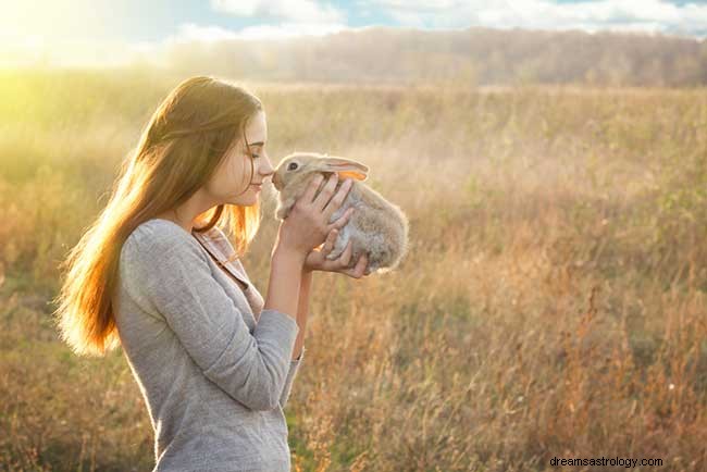 Significados interesantes detrás de los sueños sobre conejos