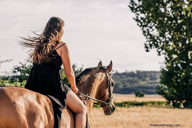 ¿Cuál es el significado espiritual de soñar con caballos?