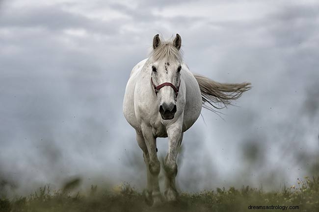 Hva er den åndelige meningen med å drømme om hester?