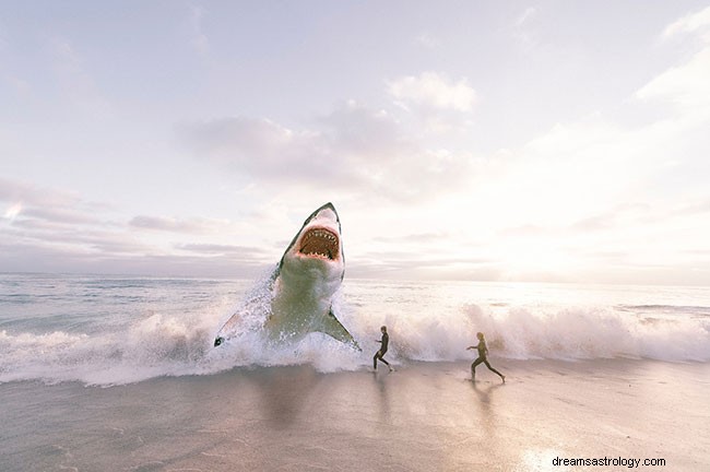 Qu est-ce que cela signifie lorsque vous rêvez de requins ?