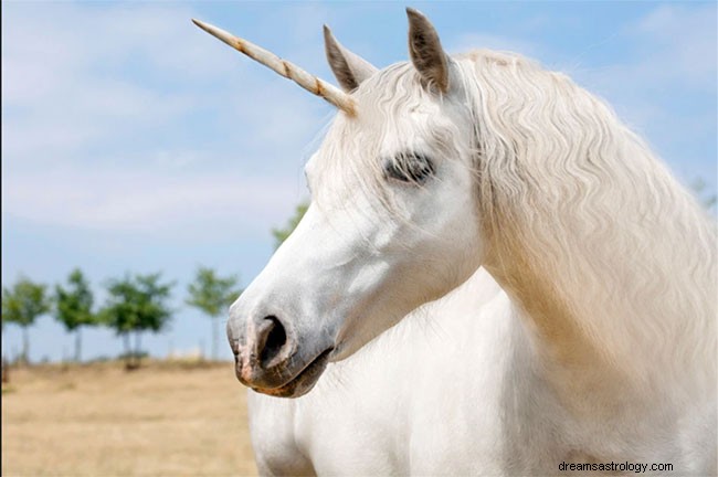 Makna dan Simbolisme Unicorn