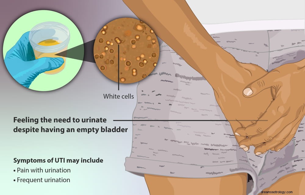 8 symboles d un rêve d urine sur le sol :que prédit-il ?